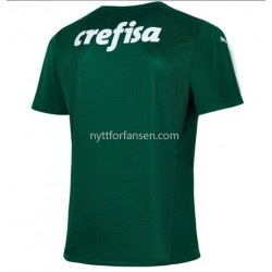 Palmeiras Fotballdrakt Herre Hjemmedraktsett 2021-2022