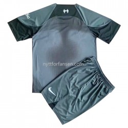 Liverpool Keeper Fotballdrakt Barn Bortedraktsett 2022-2023