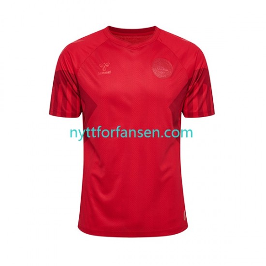 Danmark Fotballdrakt Herre Hjemmedraktsett Fotball-VM 2022 Kortermet